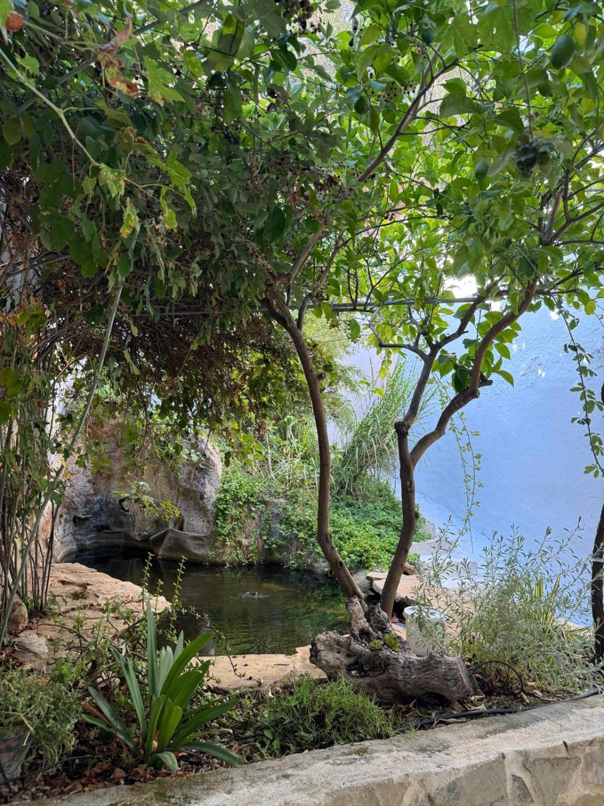 Villa Despertar Antequera Esterno foto