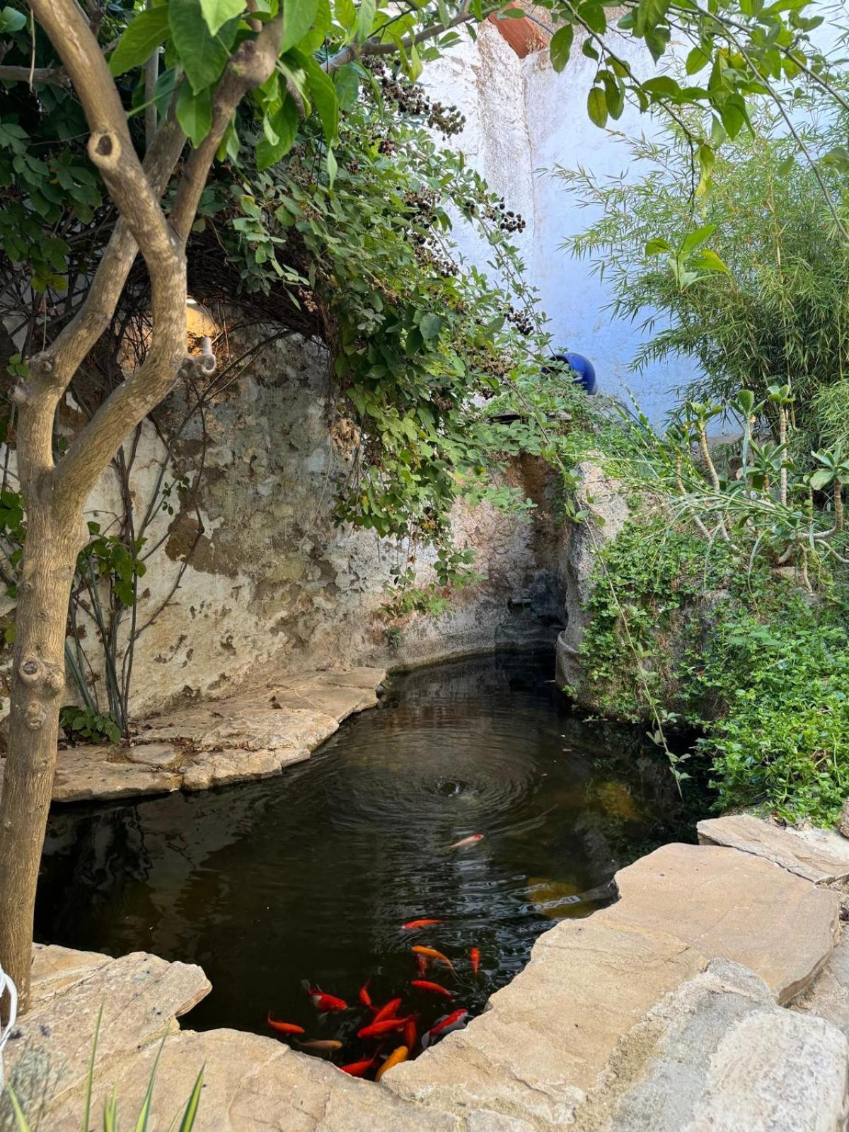 Villa Despertar Antequera Esterno foto