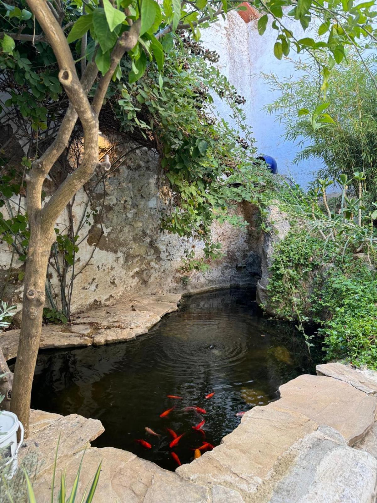 Villa Despertar Antequera Esterno foto