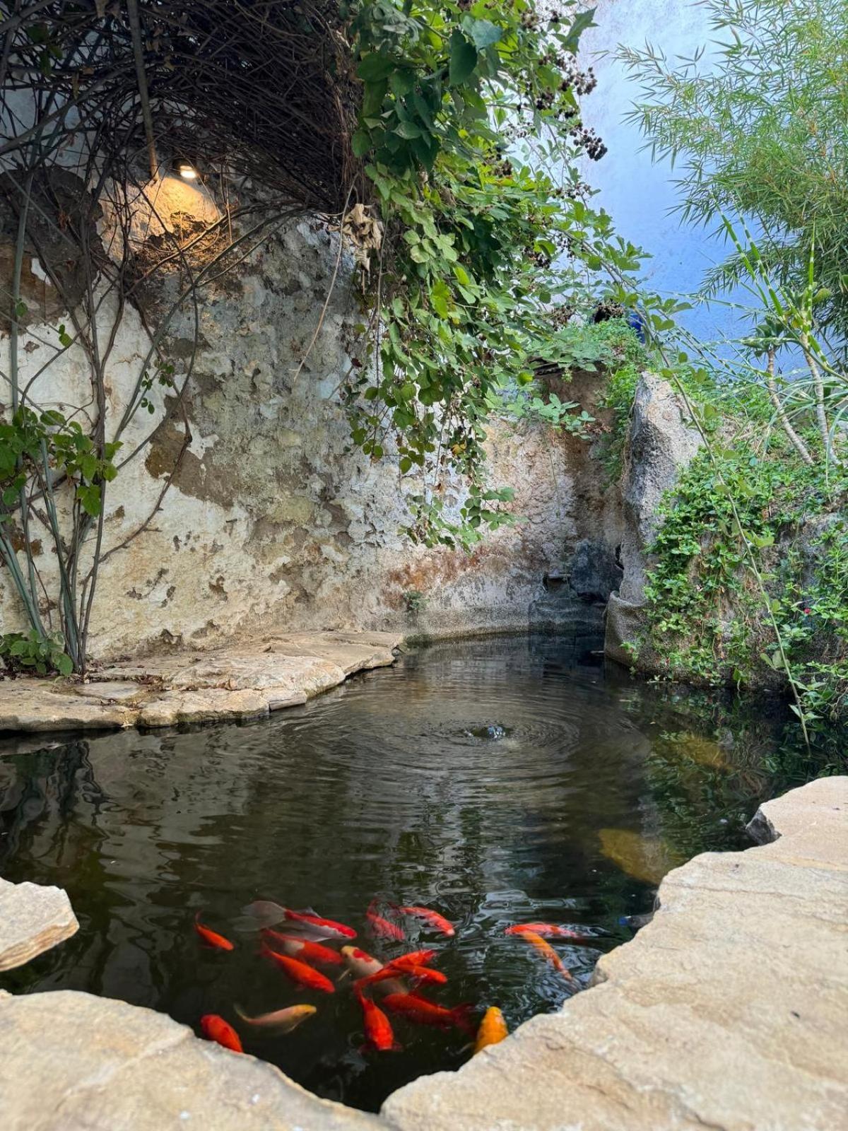 Villa Despertar Antequera Esterno foto